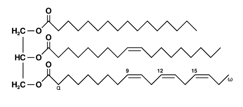 Structural reaction scheme for How to Classify Lipids, diagram 4 of 7