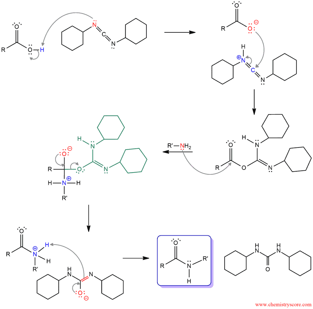 Structural reaction scheme for Amide Formation Using DCC, diagram 2 of 2