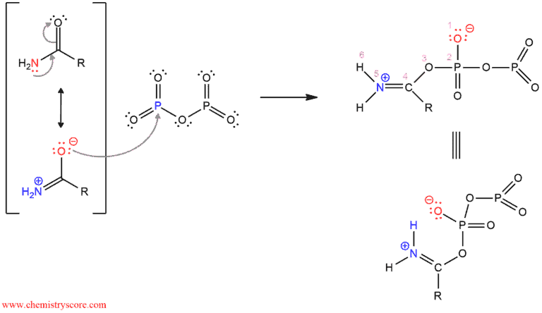 Structural reaction scheme for Dehydration of amides to nitriles [P2O5], diagram 2 of 3