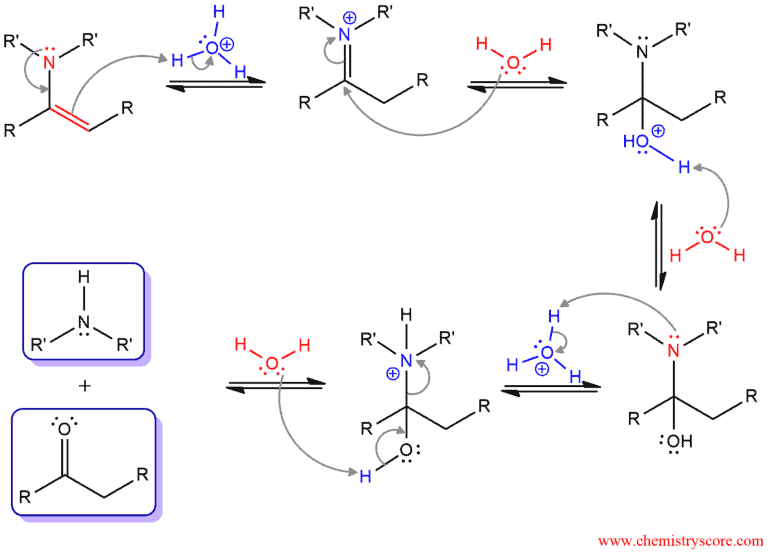 Structural reaction scheme for Enamine Hydrolysis, diagram 2 of 2
