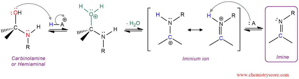 Structural reaction scheme for Imine formation [RNH2], diagram 3 of 3