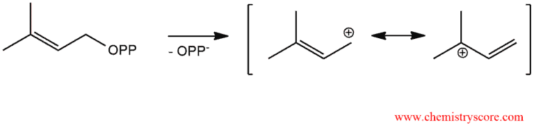 Structural reaction scheme for Polymerization of dienes, diagram 3 of 6