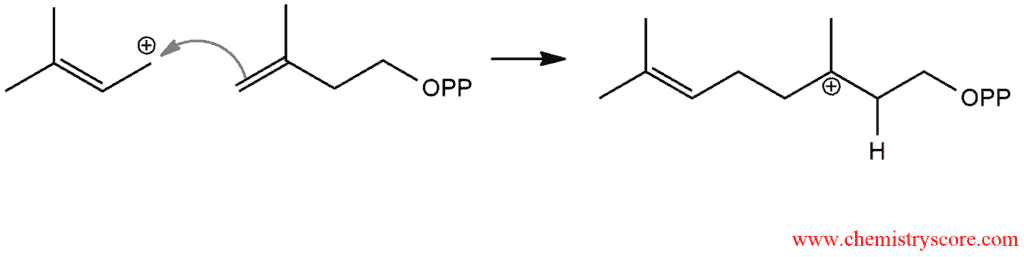 Structural reaction scheme for Polymerization of dienes, diagram 4 of 6