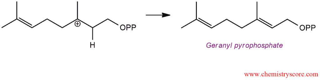 Structural reaction scheme for Polymerization of dienes, diagram 5 of 6