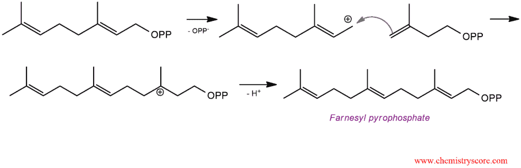 Structural reaction scheme for Polymerization of dienes, diagram 6 of 6