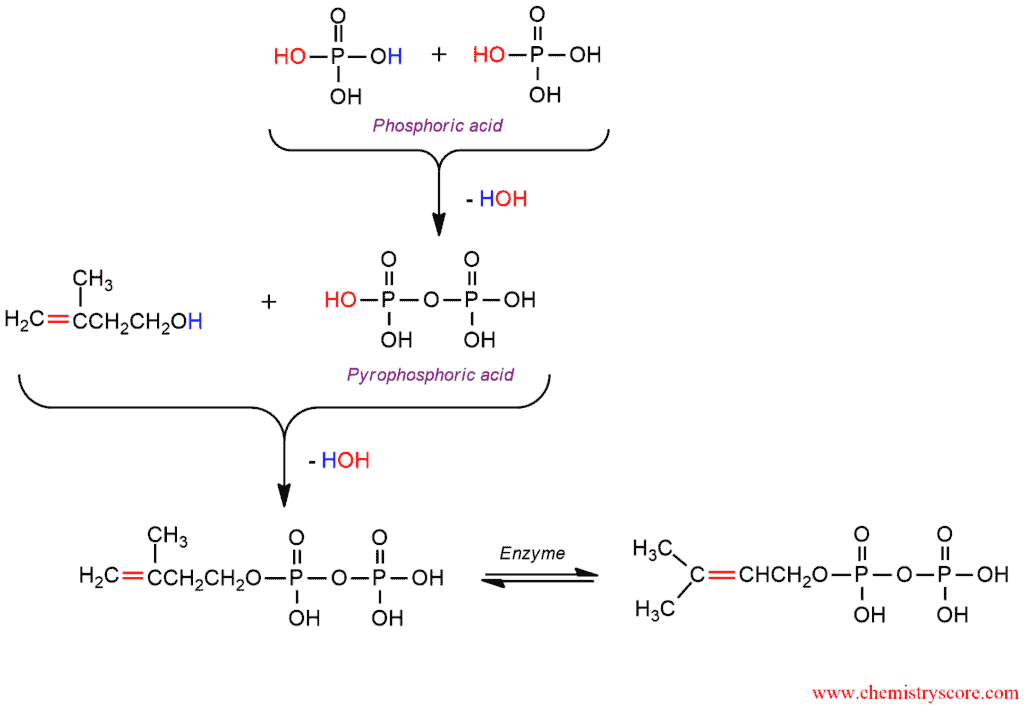 Structural reaction scheme for Polymerization of dienes, diagram 2 of 6