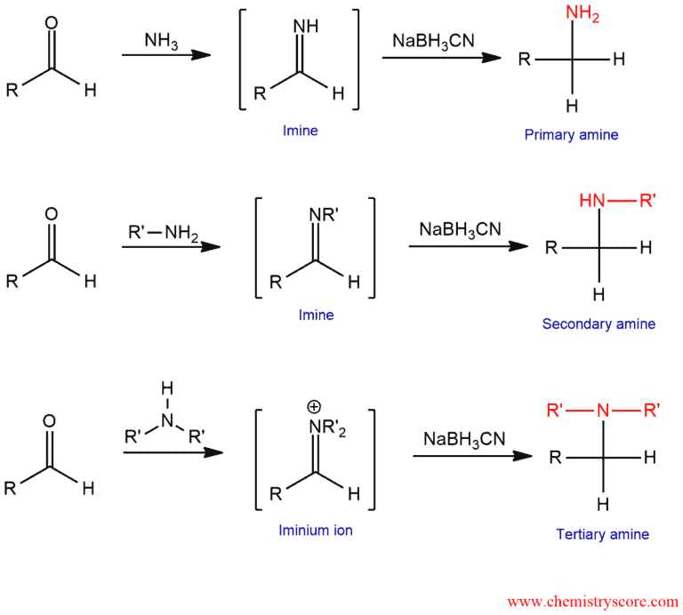 Structural reaction scheme for Reductive Amination, diagram 2 of 3