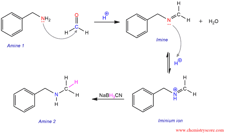 Structural reaction scheme for Reductive Amination, diagram 3 of 3