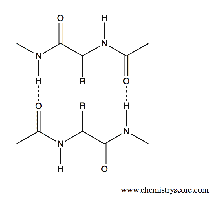Structural reaction scheme for Beta (b) Pleated Sheet