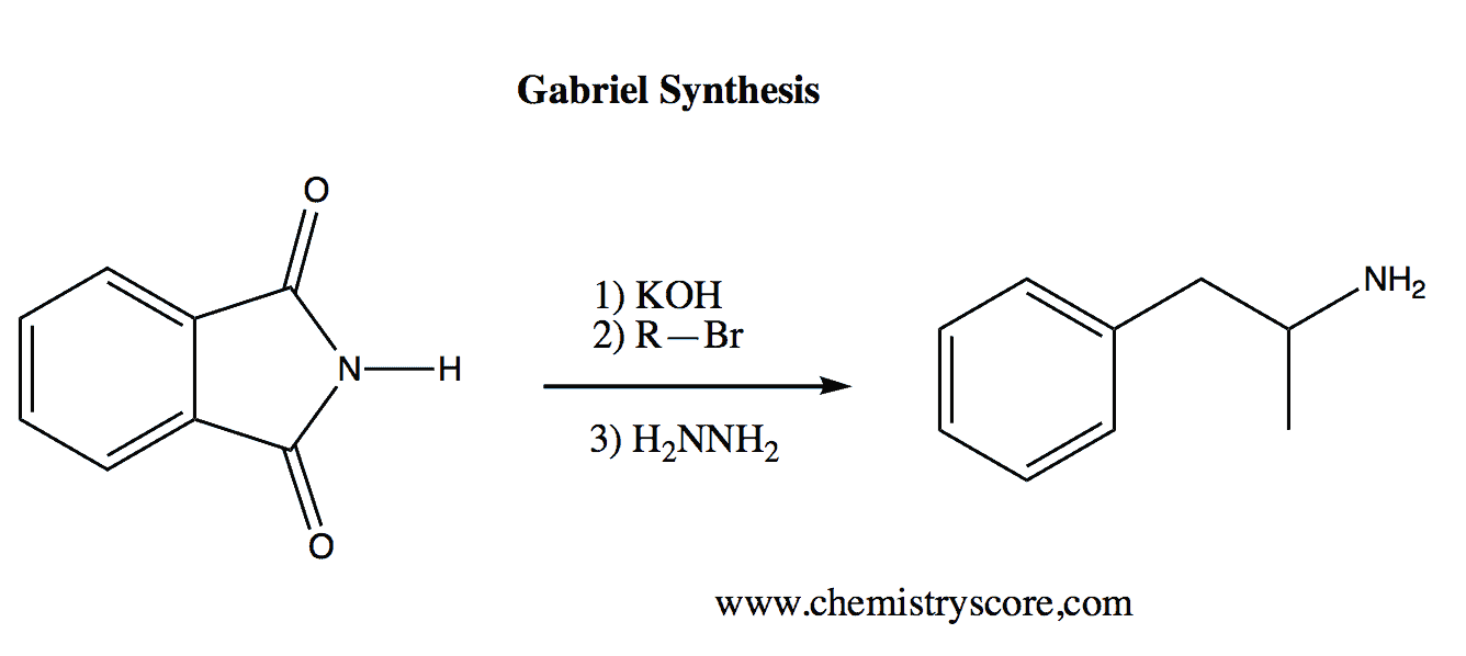 Structural reaction scheme for Gabriel Synthesis