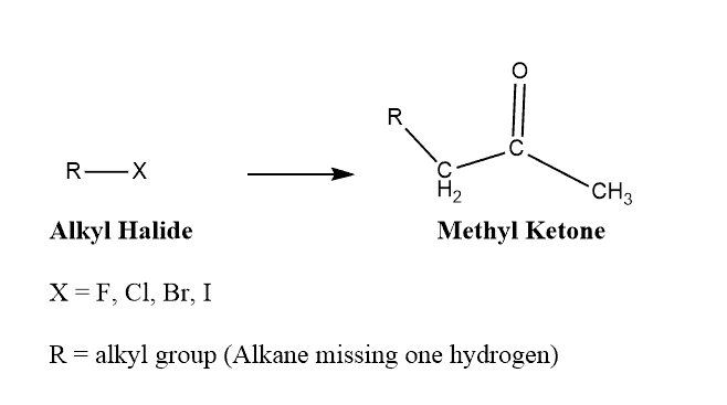 Structural reaction scheme for Acetoacetic Ester Synthesis