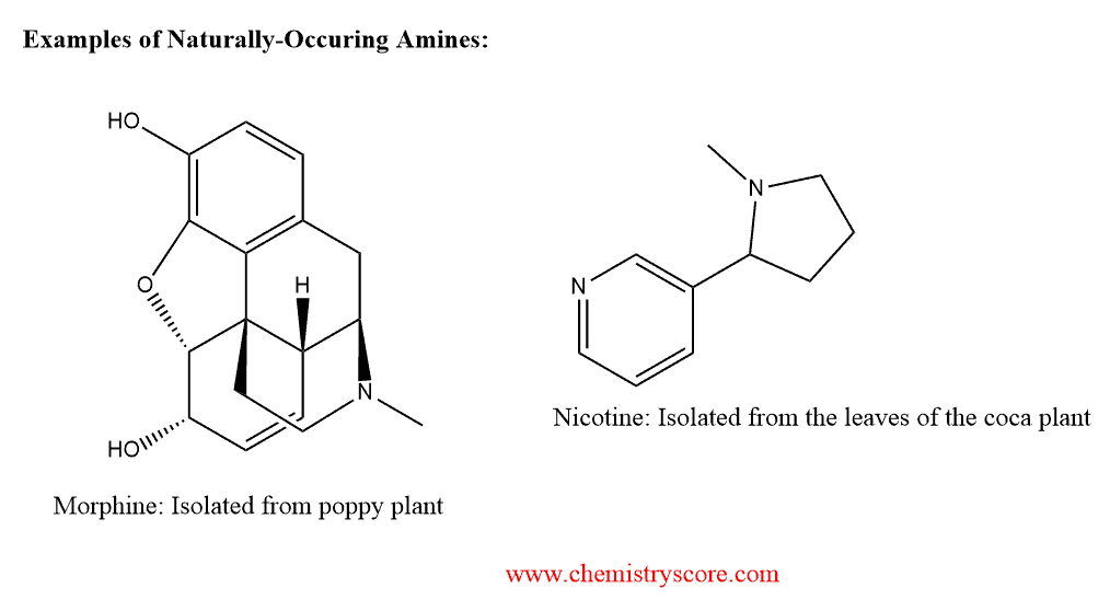 Structural reaction scheme for Alkaloids