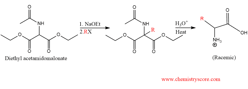 Structural reaction scheme for Amidomalonate Synthesis