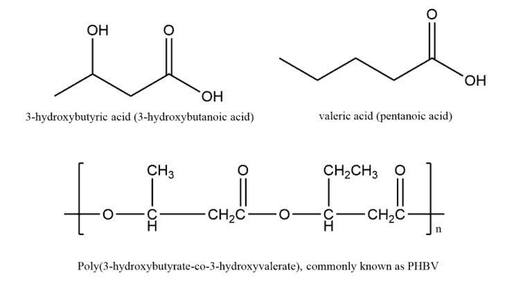 Structural reaction scheme for Biodegradable Polymers, diagram 2 of 2