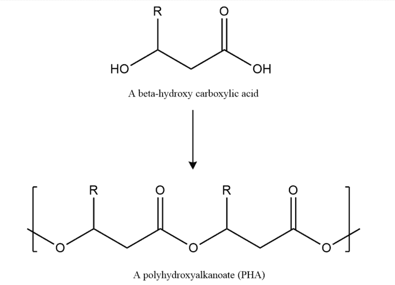 Structural reaction scheme for Biodegradable Polymers, diagram 1 of 2