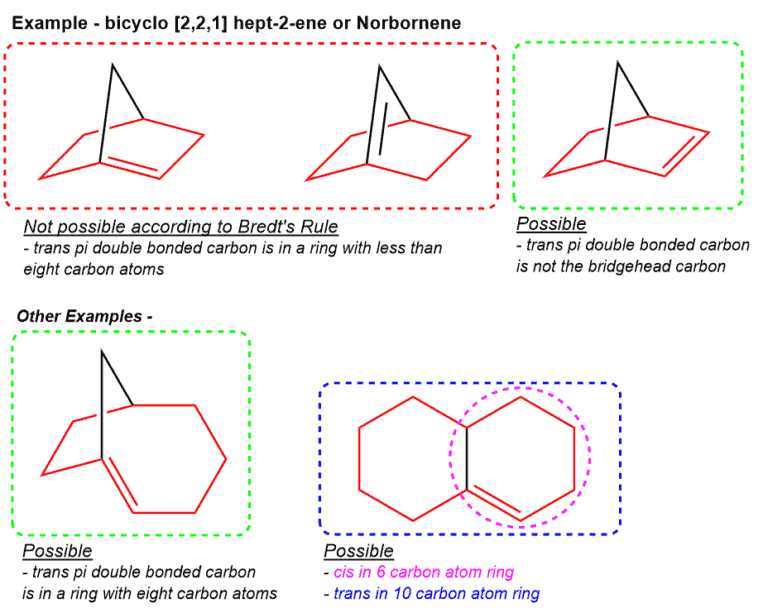 Structural reaction scheme for Bredt’s Rule