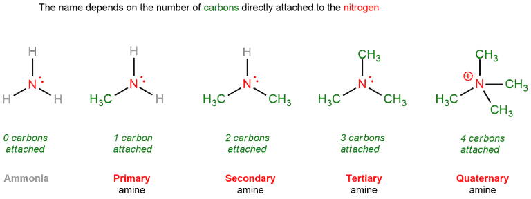 Structural reaction scheme for Primary, secondary, tertiary carbons, diagram 6 of 6