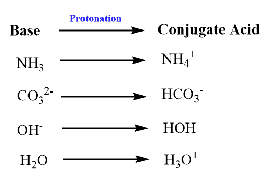 Structural reaction scheme for Conjugate Acid
