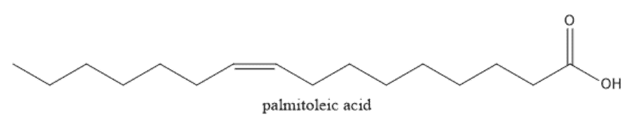 Structural reaction scheme for How to Classify Lipids, diagram 2 of 7