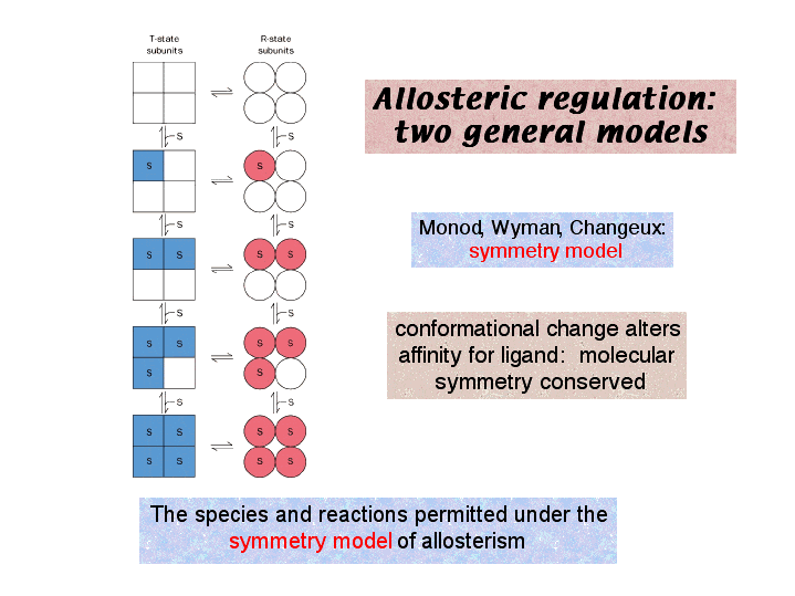 Structural reaction scheme for Hemoglobin: Sequential and Symmetry Model, diagram 1 of 2