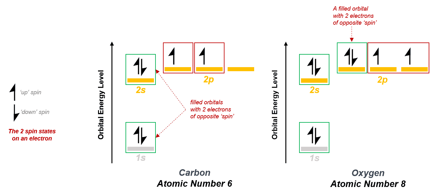 Structural reaction scheme for Pauli Exclusion Principle
