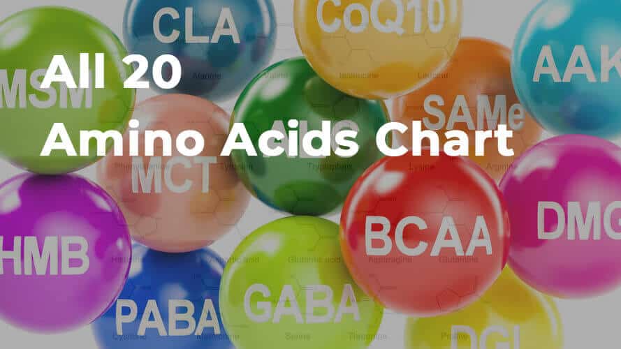 All 20 Amino Acids Chart (Free high-quality PDF download)