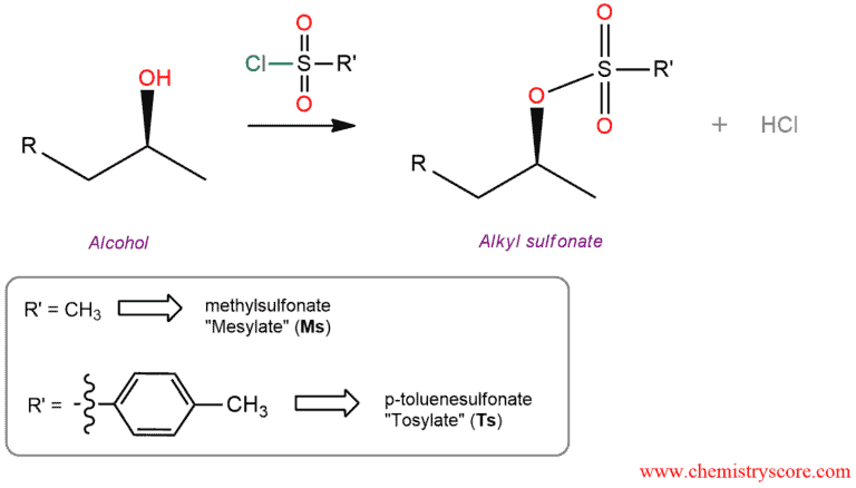 tscl Mechanismus