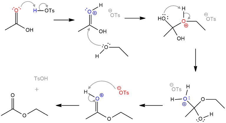 fischer esterification mechanism