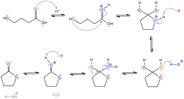 fischer esterification mechanism carboxylic acid