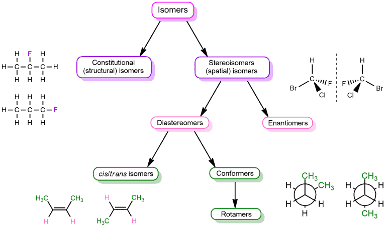 Isomers contain the same number of atoms of each element but have different...