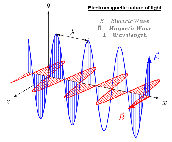 Polarized Light Examples